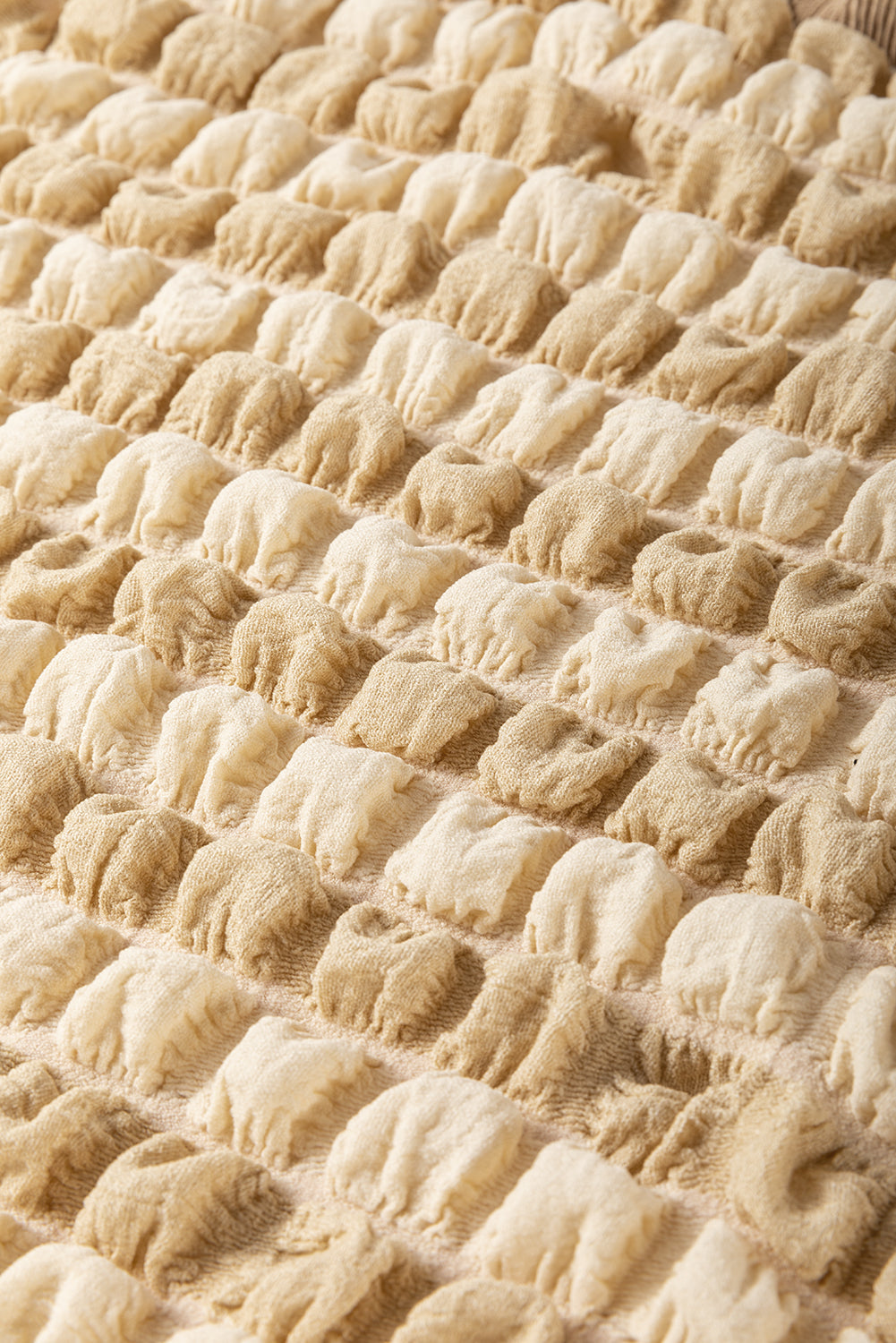Beige Textured Frill Trim Smocked Puff Sleeve T Shirt