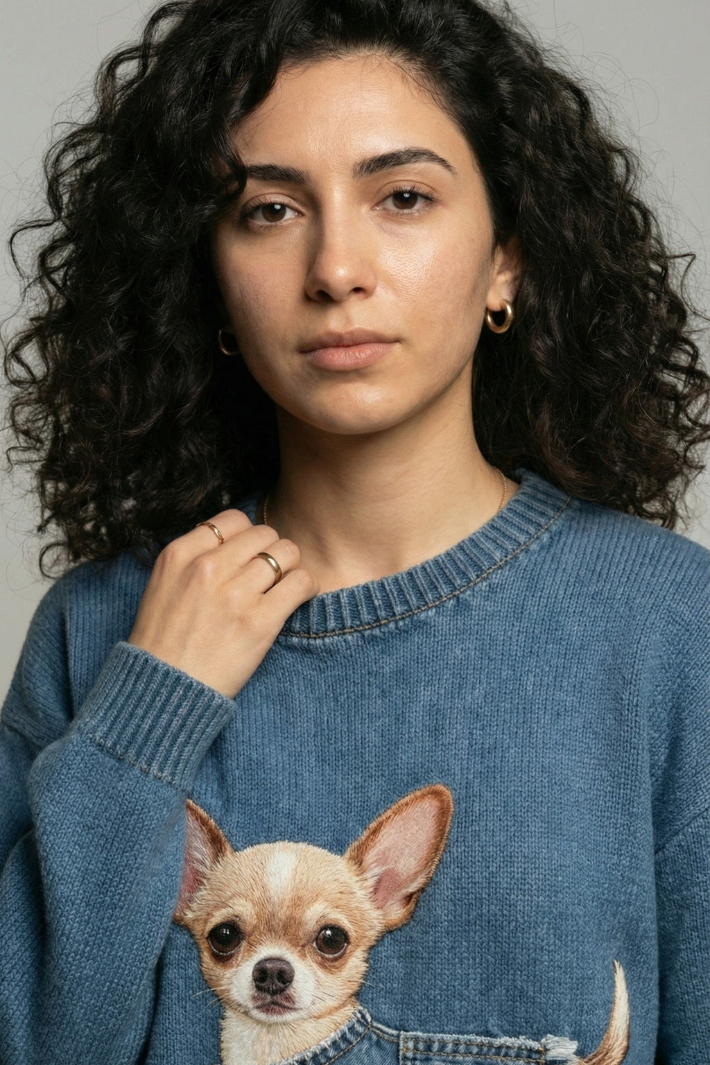 Chihuahua Intarsia Knit Sweater