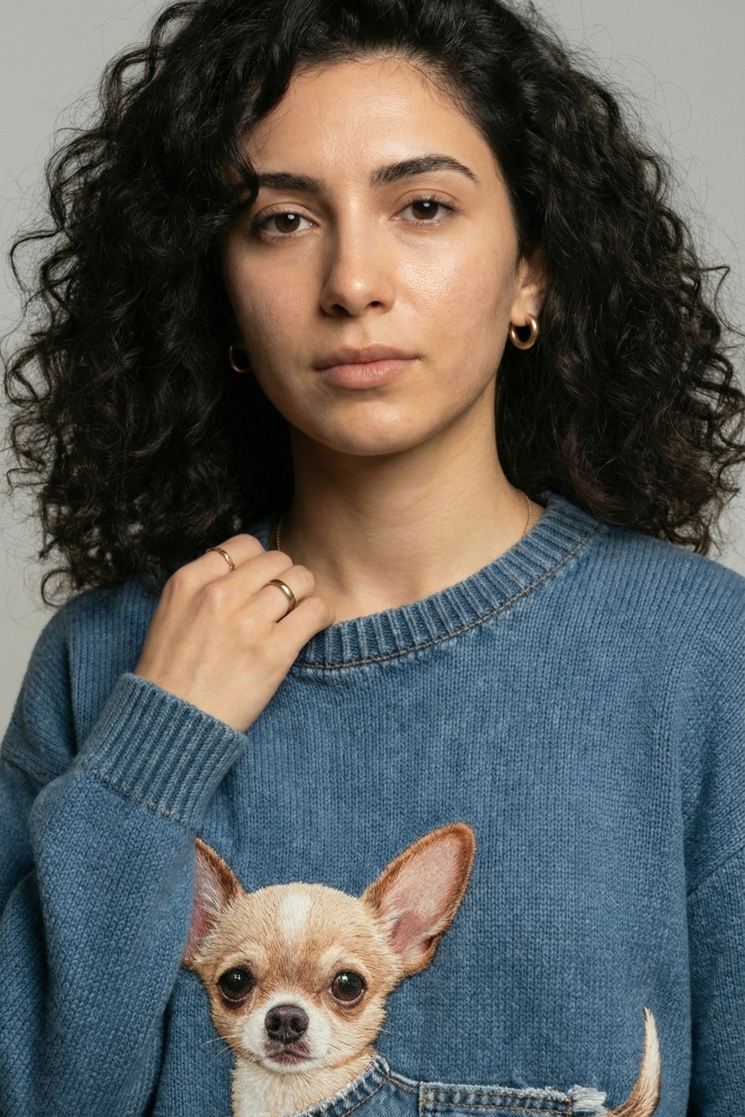 Chihuahua Intarsia Knit Sweater