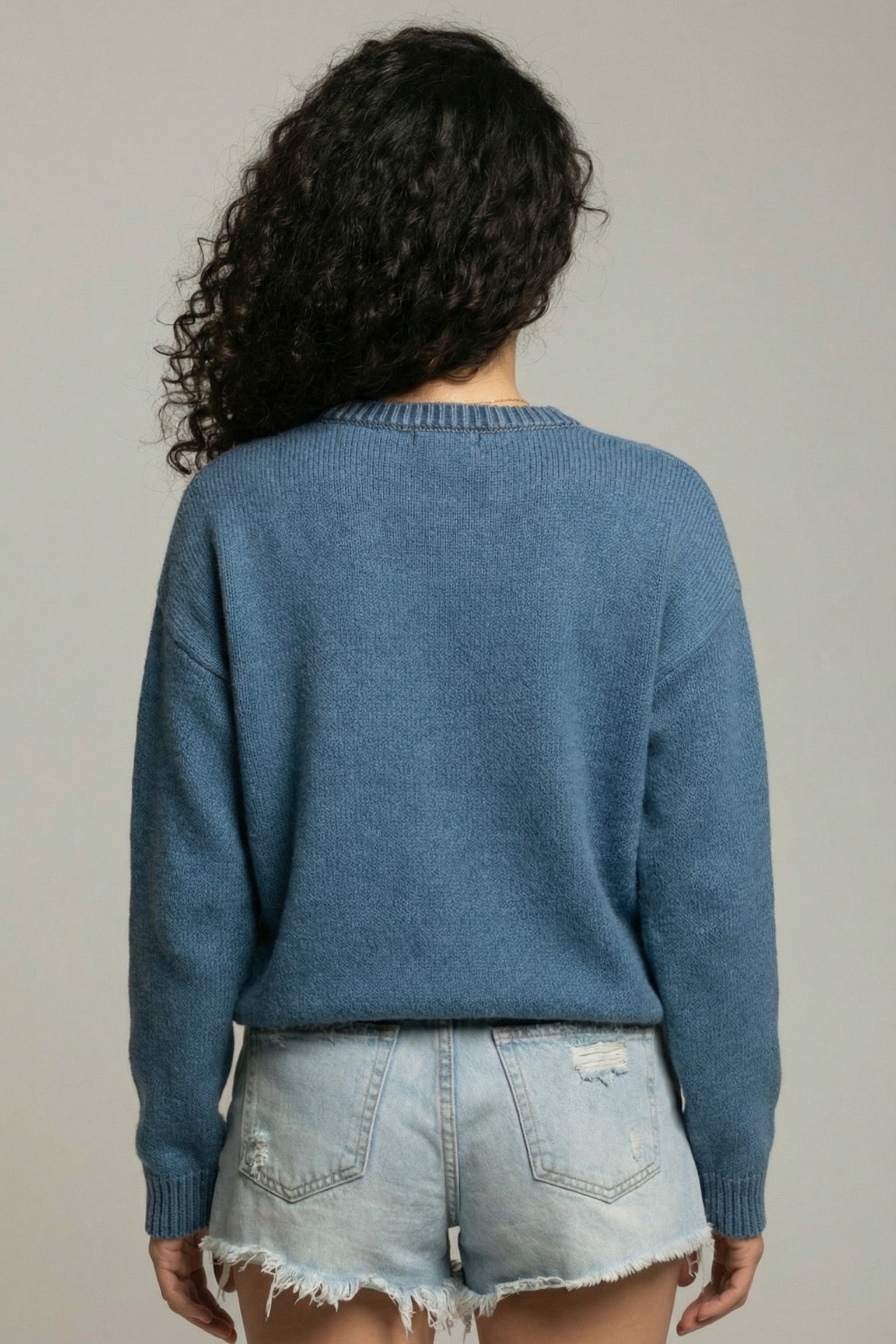 Chihuahua Intarsia Knit Sweater